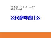 2.1《公民意味着什么》PPT课件