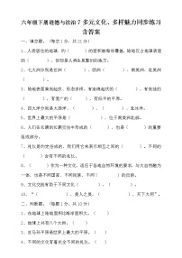 政治思品六年级下册(道德与法治)7 多元文化 多样魅力当堂达标检测题