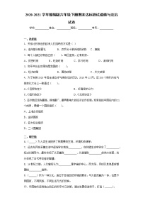 2020-2021学年部编版六年级下册期末达标测试道德与法治试卷（word版 含答案） (2）