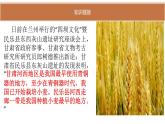 人教部编版 四年级下册(道德与法治 第三单元 美好生活哪里来 7 我们的衣食之源课件
