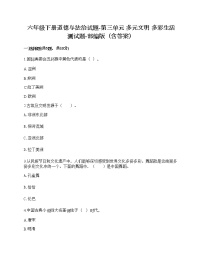 小学政治思品人教部编版六年级下册(道德与法治)第三单元 多样文明 多彩生活综合与测试当堂达标检测题