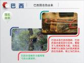 9.2巴西-【备课助手】2020-2021学年七年级地理下册同步课件（人教版）