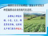 人教版八年级地理上册 第四章 中国的经济发展 第二节 农业 课件