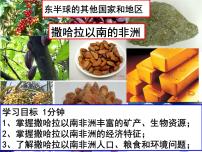 初中人教版 (新课标)第三节 撒哈拉以南的非洲集体备课ppt课件