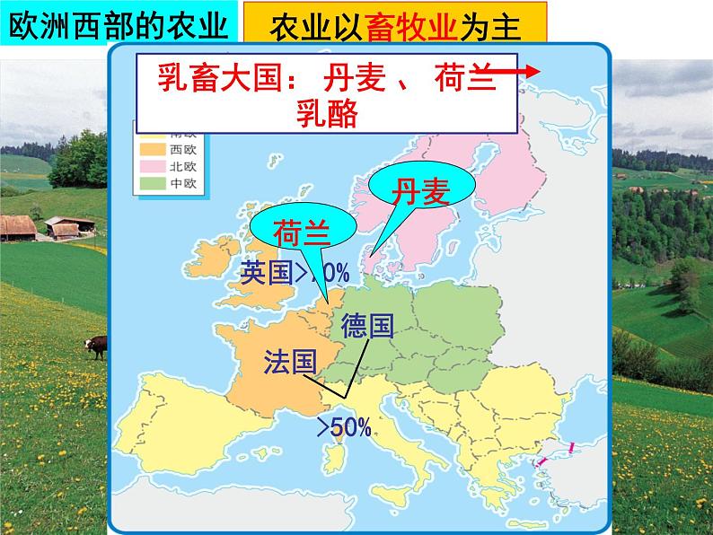 人教版 七年级下册第八章 第二节洲西部2课件PPT第4页