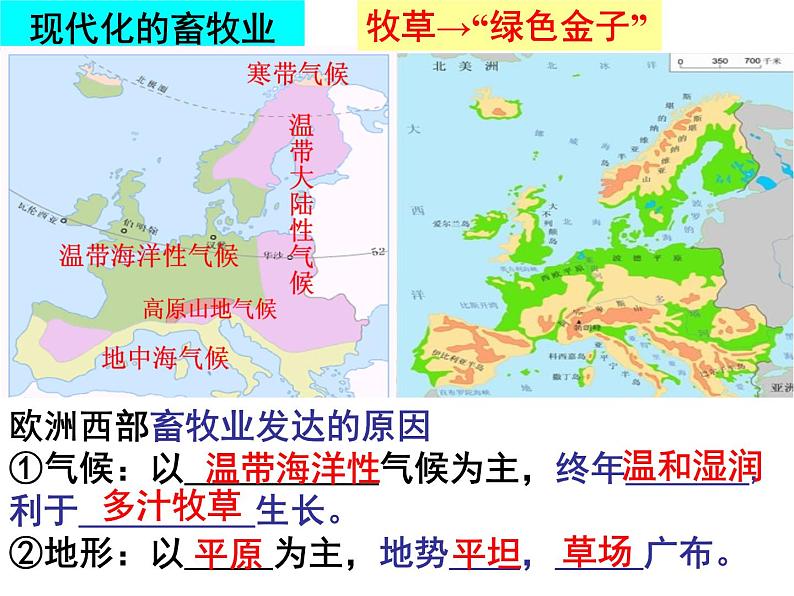 人教版 七年级下册第八章 第二节洲西部2课件PPT第5页