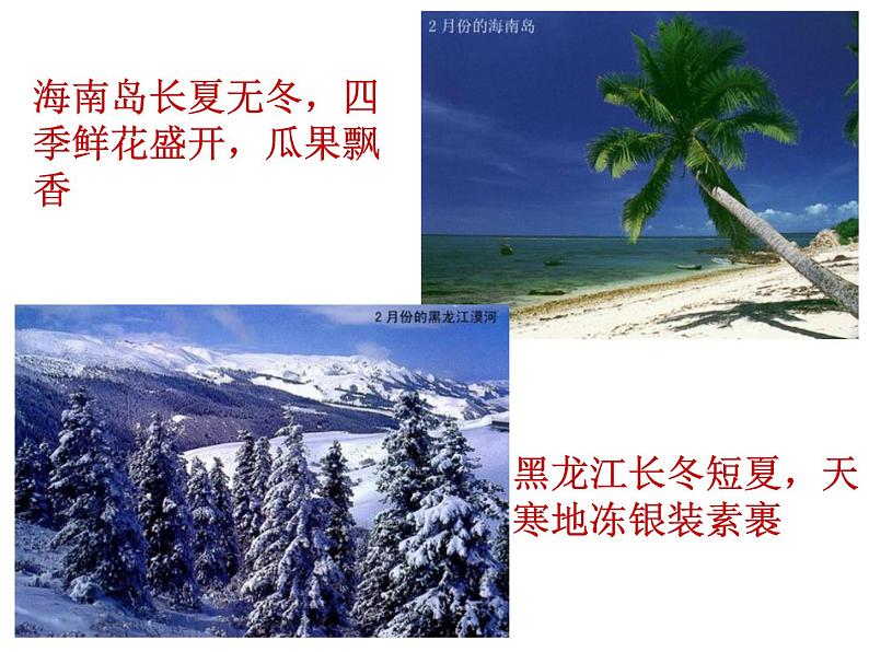 人教版  八年级下册第五章 中国的地理差异课件 1第6页