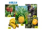 人教版  八年级下册 第七章  第四节台湾2 课件
