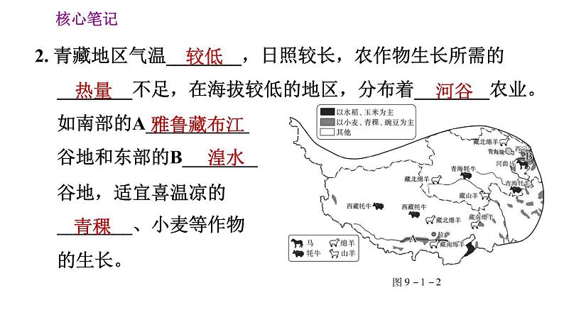 人教版八年级下册地理习题课件 第九章 9.1 自然特征与农业第6页