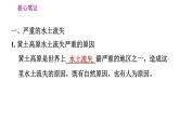 人教版八年级下册地理习题课件 第六章 6.3.2 严重的水土流失　水土保持