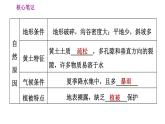 人教版八年级下册地理习题课件 第六章 6.3.2 严重的水土流失　水土保持