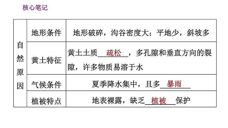 人教版八年级下册地理习题课件 第六章 6.3.2 严重的水土流失　水土保持03