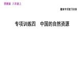 人教版八年級(jí)上冊(cè)地理習(xí)題課件 期末專項(xiàng)訓(xùn)練 專項(xiàng)訓(xùn)練四　中國(guó)的自然資源