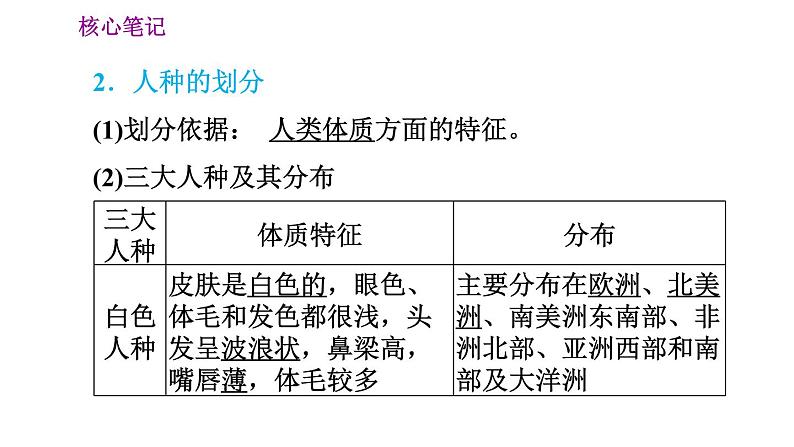 晋教版七年级上册地理习题课件 第5章 5.1.2  人口问题　三大人种及其分布03