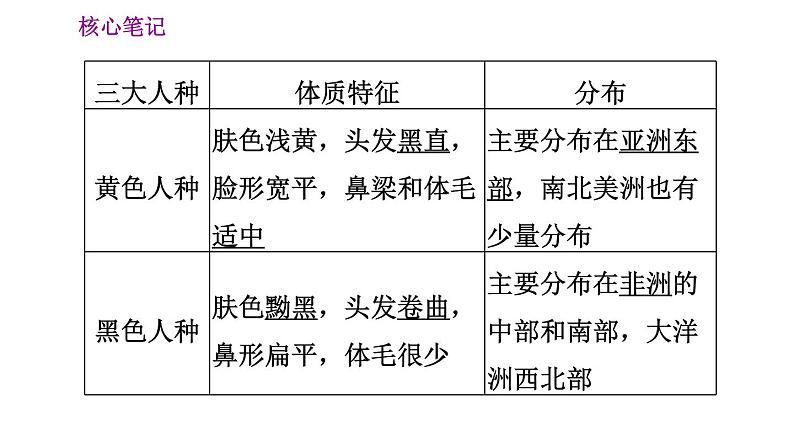 晋教版七年级上册地理习题课件 第5章 5.1.2  人口问题　三大人种及其分布04