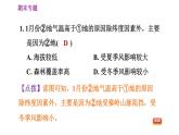 人教版八年级上册地理习题课件 期末专练 专题二　综合思维：我国的自然环境