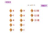 人教版八年級(jí)上冊(cè)地理習(xí)題課件 期末專練 專題一　區(qū)域認(rèn)知：我國(guó)的行政區(qū)劃
