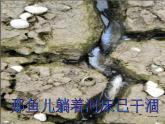 3.3 中国水资源 （课件+素材6份）
