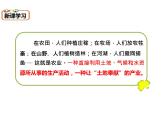 晋教版八上地理4.1 稳步增长的农业 课件（29张幻灯片）