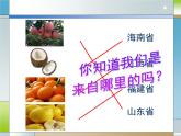 沪教版七年级上册祖国篇（上）3 气温与降水3.1 气温分布（第一课时） 课件（18张PPT）+教案+学习单