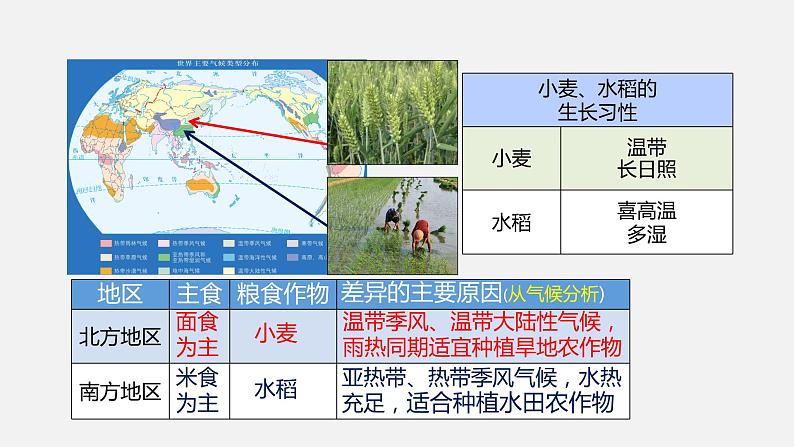 中图版初中地理八年级上册2.3气候与人类活动 课件+教案05