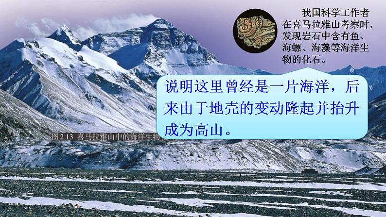 人教版七年级地理上册 第二章 陆地和海洋 第二节 海陆的变迁 课件第6页