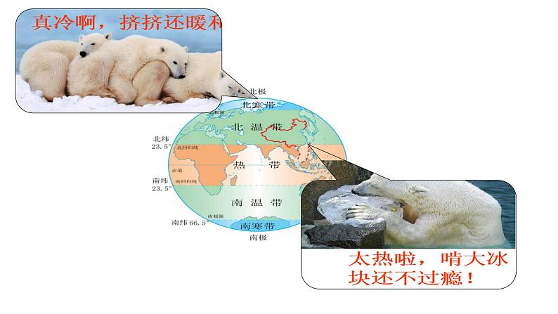 人教版七年级地理上册第三章第二节气温的变化与分布课件04