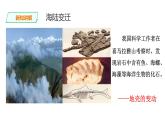 人教版七年级地理上册第二章陆地和海洋第二节海陆的变迁课件PPT