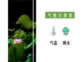 2.2 气候基本特征（第2课时）精品课件-商务星球版八年级地理上册