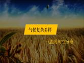 2.2 气候基本特征（第2课时）精品课件-商务星球版八年级地理上册