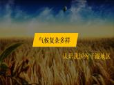 2.2 气候基本特征（第3课时）精品课件-商务星球版八年级地理上册