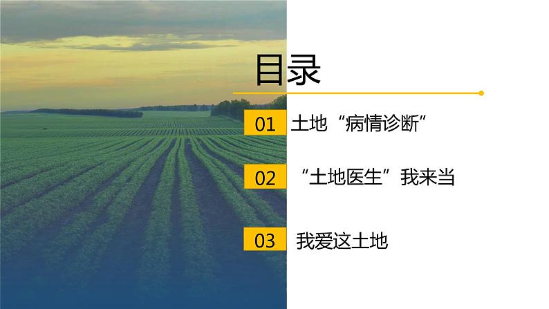 3.1 合理利用土地资源（第2课时）精品课件-商务星球版八年级地理上册05