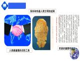【人教版】七年级上册 地理 4.2《世界的语言和宗教》课件（36张PPT+视频资源）