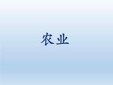 4.1 农业 课件-湘教版八年级地理上册