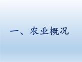 4.1 农业 课件-湘教版八年级地理上册