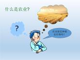 4.1 农业 课件-湘教版八年级地理上册
