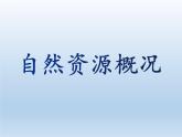 3.1 自然资源概况 课件-湘教版八年级地理上册