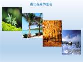 4.2 气温和降水（第1课时） 课件-湘教版七年级地理上册