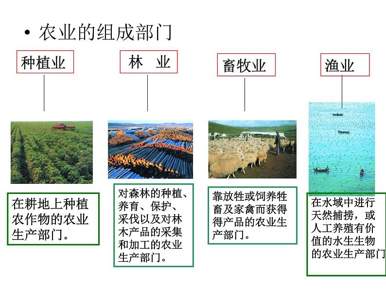 人教版（新课标）八年级地理上册：4.2 农业-课件03