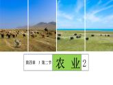4.2 农业（课时2）-八年级地理上册同步精品课件（人教版）