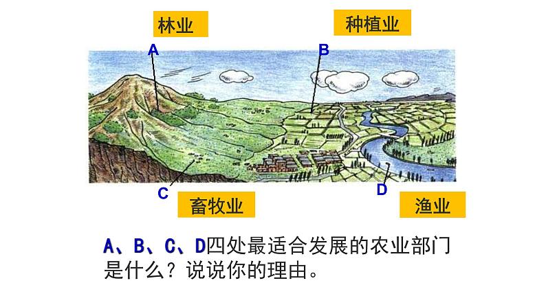 4.2 农业（课时2）-八年级地理上册同步精品课件（人教版）05