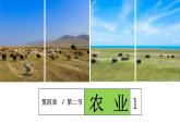 4.2 农业（课时1）-八年级地理上册同步精品课件（人教版）