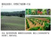 4.2 农业（课时1）-八年级地理上册同步精品课件（人教版）