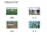 4.2 农业（课时1）-八年级地理上册同步精品课件（人教版）