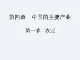 湘教版八年级上册 地理课件  第4章  第1节  农业