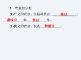 湘教版八年级上册 地理课件  第4章  第1节  农业