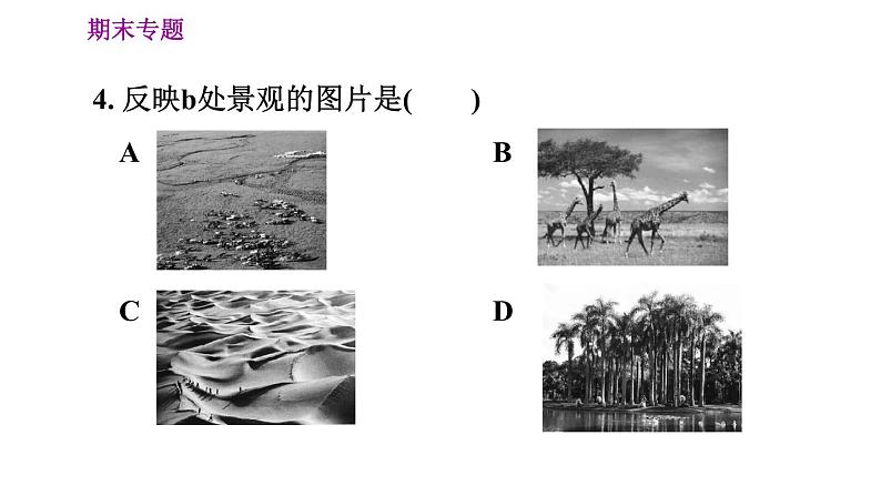 人教版七年级上册地理习题课件 期末专练 专题三　综合思维：影响世界气候的主要因素第7页