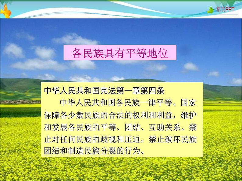 （湘教版）八年级地理上册课时同步课件 1.4 中国的民族07