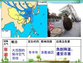 （湘教版）八年级地理上册课时同步课件 2.2 中国的气候第四课时