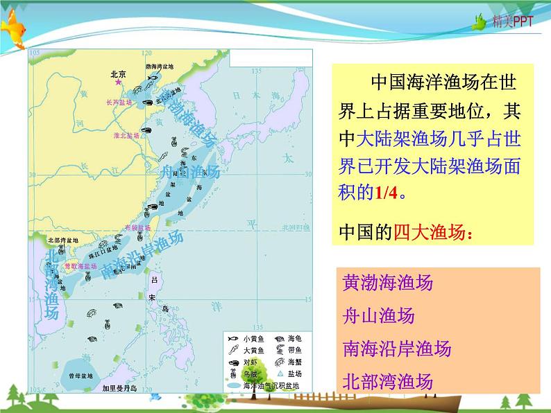 （湘教版）八年级地理上册课时同步课件 3.4中国的海洋资源07